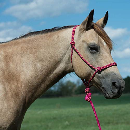 Weaver Equine Diamond Braided Horse Rope Halter with Lead