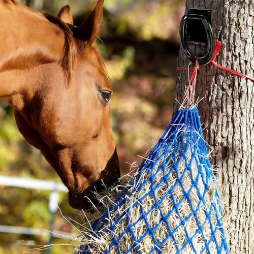 SUPERFINDINGS 4Pc Horse Tie Ring Iron Horse Tack and Supplies Black Tack Barn Stable Supplies for Horse Horseshoe Cross Ties Down with Expansion Bolts for Stall Trailer Barn