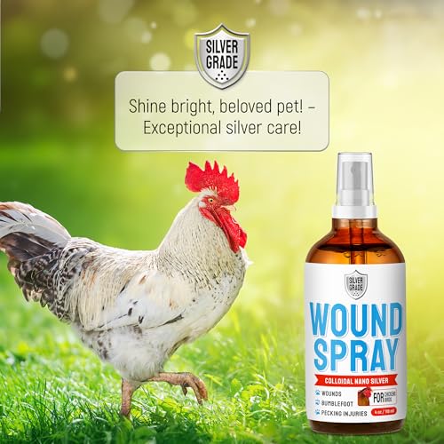 SILVER GRADE Wound Spray for Chicken – Birds & Chicken Antibiotics Alternative to Help with Pecking Sores, Bumblefoot, Cuts – Poultry Spray with Silver – GMOs Free – 4-Oz Bottle