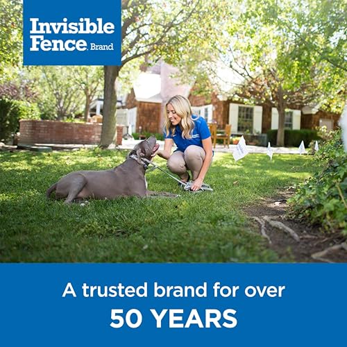 Invisible Fence Brand Power Cap Battery, 1-Pack - style: 1 Pack