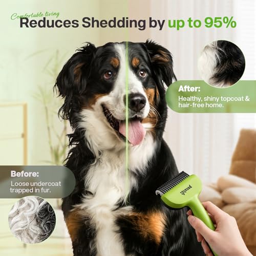 Pecute Self-Cleaning Undercoat Rake for Dogs Cats with Thick Double Coats - color: Green