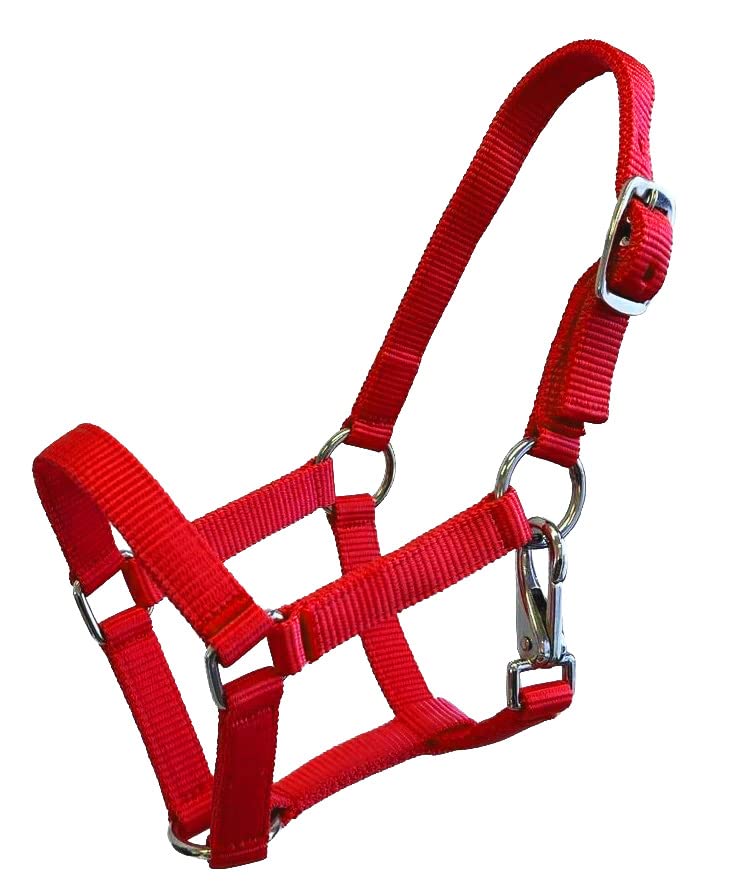 Nylon Foal Halter - color: Red