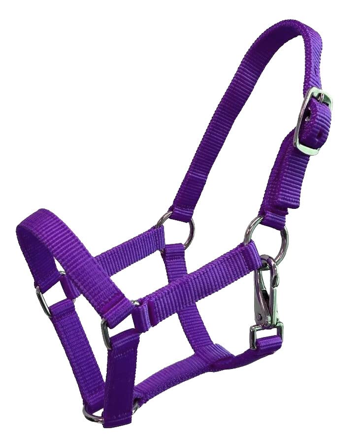 Nylon Foal Halter - color: Purple