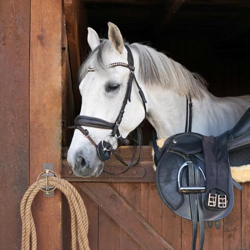 SOUJOY 6 Pcs Water Bucket Hook for Horse, Heavy Duty Metal Feed Bucket Hook with Pin, Wall Mounted Hangers for Horse Stalls Stable Barn Farmhouse Supplies