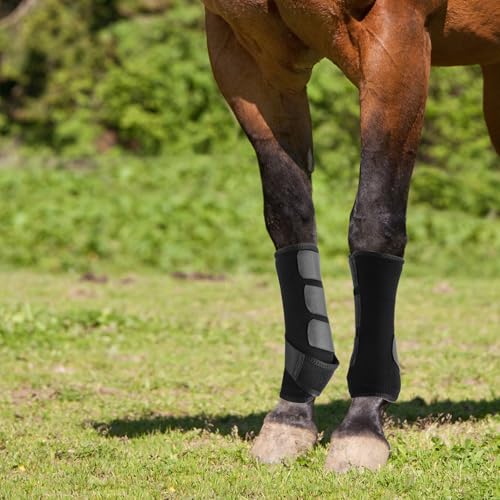 4 Pcs Horse Sport Boots - Neoprene Protective Breathable Comfy Mesh All-Round Lower Limb Protection & Support for Jumping Trail Riding Endurance Training and Performance - size: Small / Pony