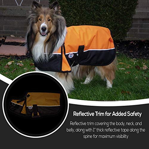 Derby Originals Horse Tough 600D Ripstop Waterproof Reflective Winter Dog Coat 150g Medium Weight, Sky Blue, 22"