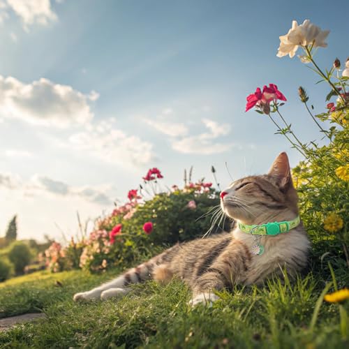 BINGPET Cat Collar Breakaway with Bell, Cute Kitten Collar,Flower and Bee - color: Flower Garden-3pcs