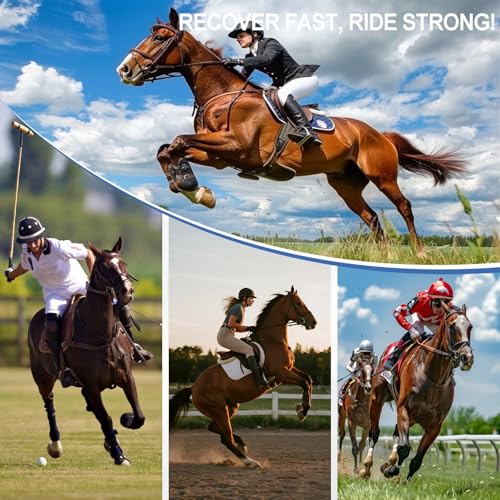Horse Ice Boots 2 Pack, Horse Leg Wraps for Recovery & Daily Care, Black | Reusable Gel Ice Pack Wraps with Adjustable Straps for Hocks, Ankles, Knees, Legs and Hooves, Flexible After Freezing