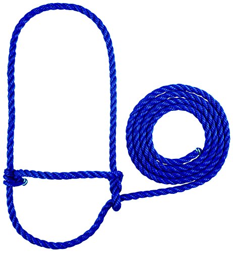 Weaver LivestockWeaver Leather Livestock Goat Halter, Blue, 3/4" Small - color: Blue, size: Calf