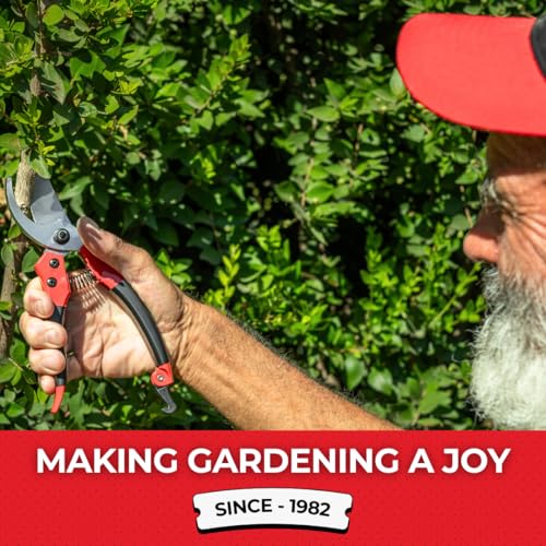 TABOR TOOLS S821A Bypass Pruning Shears for Small to Medium Hands, Chrome Plated Blades with 3/4 Inch Cut Capacity, Professional Hand Pruner, Garden Secateurs & Clippers with Safety Lock - style: Bypass