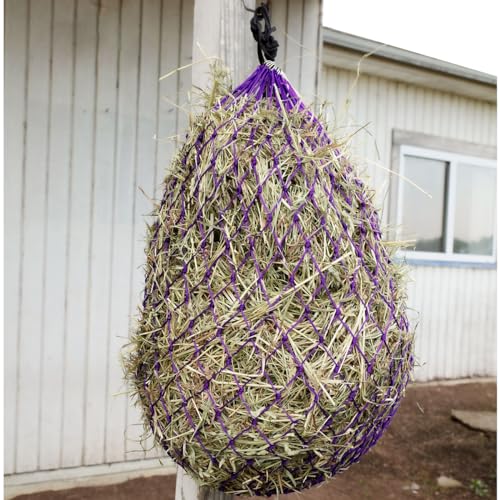 Country Pride Slow Feed Hay Net, 2-Inch Openings to Slow Hay Consumption, Durable Nylon Knit, Holds 3-4 Flakes, Fits Hay Hoop Feeder, Stall and Trailer Use, Promotes Healthy Grazing (Purple) - color: Purple