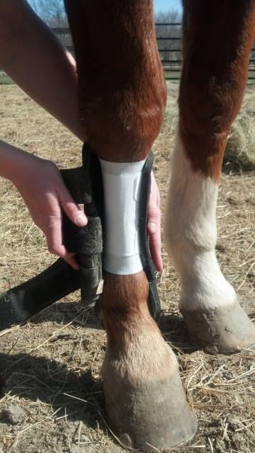 Equine BandaFlex Non-Adhesive, Disposable, Washable and Reusable Bandages (Large) - size: Large
