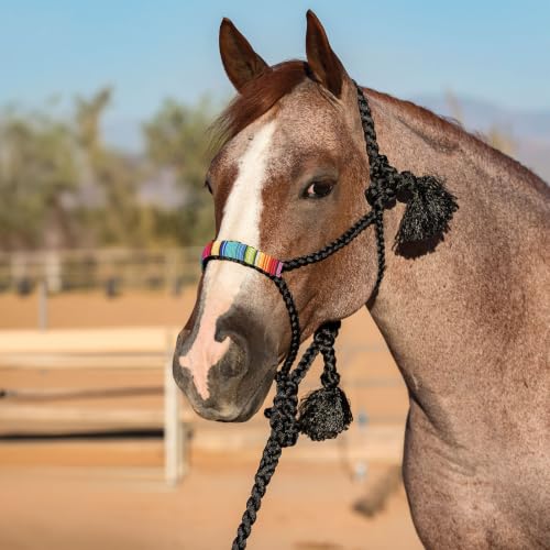 Professional's Choice Cowboy Braided Horse Halter - color: Black/Serape, style: Beads
