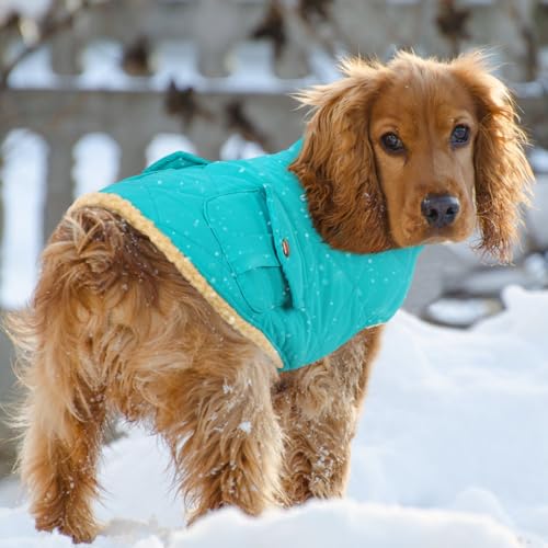 Queenmore XS Warm Dog Jacket Cold Weather Puffer Coat Quilting Winter Vest - color: Light Blue, size: X-Small