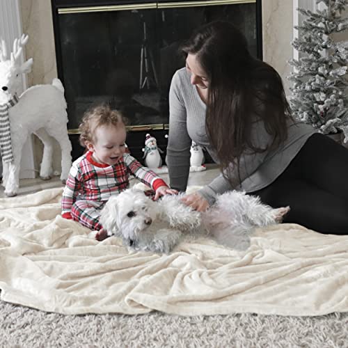 Bedsure GentleSoft Fleece Throw XL Blanket Cream - 300GSM Soft Lightweight Plush Cozy Blankets for Bed, Sofa, Couch, Travel, Camping, 50x70 inches - color: 01 - Cream, size: Throw XL (50" X 70")