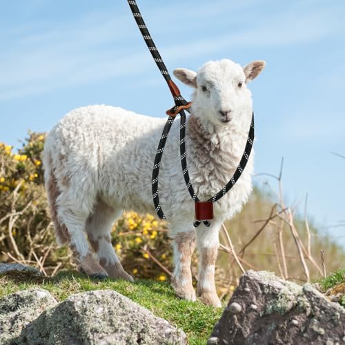 Goat Harness & Leash, Adjustable Step-in Sheep Harness, Goat Accessories, Livestock Halter Supplies for Goats and Sheep (Large) - size: Large