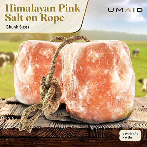 UMAID Himalayan Salt Lick 6 lbs On Rope for Horse, Deer, Goat, and Livestock Animals - Himalayan Salt Block 1 Pack - size: 6 Pound (Pack of 1)