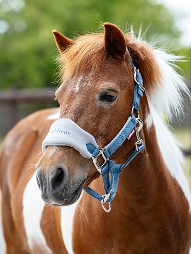 LeMieux Mini Vogue Halter & Leadrope - Perfect for Ponies - Adjustable at Curb and Poll - color: Ice Blue