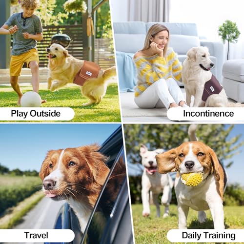 Washable Male Dog Diapers Reusable, Premium Dog Belly Bands for Male Dogs Medium, Pack of 3, High Absorbing Male Dog Pee Wraps for Doggie in Incontinence or Excitable Urination and Training(M) - size: Medium