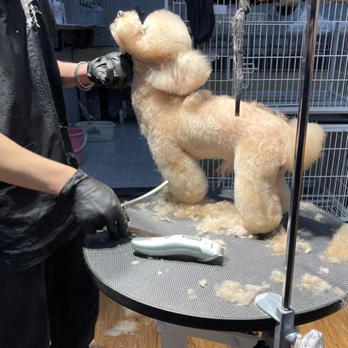 suplink Professional Dog Clippers for Thick Coats,4 Blade (1/3/6/9mm)