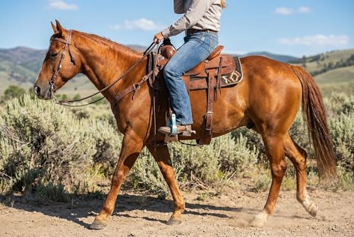 Horse Western 5" Barrel Racer Engraved Aluminum Angled Show Stirrups 51140 - color: Turquoise