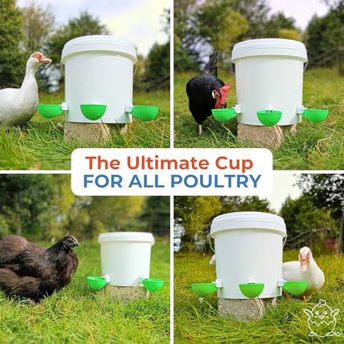Lil'Clucker - Large Automatic Chicken Waterer Cups Suitable for Ducks, Geese, Turkeys, and Bunny Rabbit - Water Feeder Kit - Poultry Waterer (Green, 12 Pack) - color: Green, size: 12 Pack