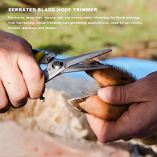 10 Inch Farrier Hoof Trimmer, Sharpener Kit for Goats, Pigs, and Hooved Animals, Professional Hoof Clippers, Rasp, and Trimming Tools, Complete Goat Hoof Care Kit - size: 10-inch