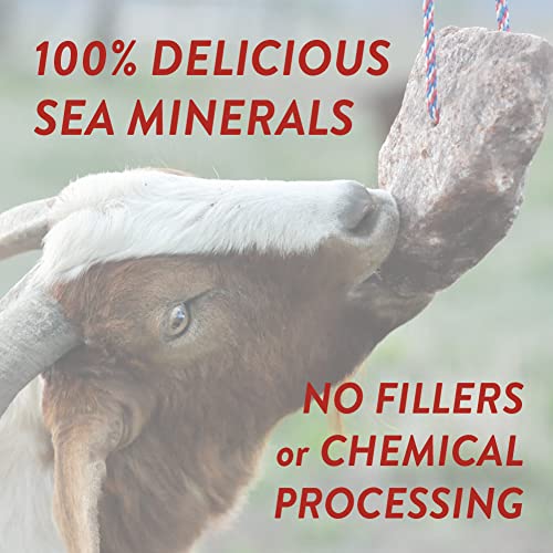 REDMOND Goat Mineral Rock on a Rope, Unrefined Salt (3-5 LB Rock) - size: 3 Pound (Pack of 1)