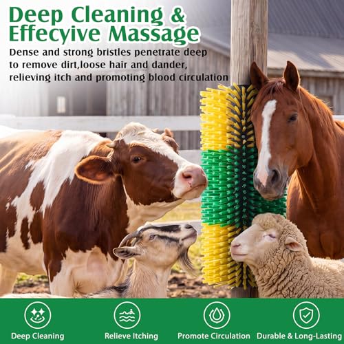 3 Pack Livestock Scratching Brush, Green and Yellow - color: Green and Yellow