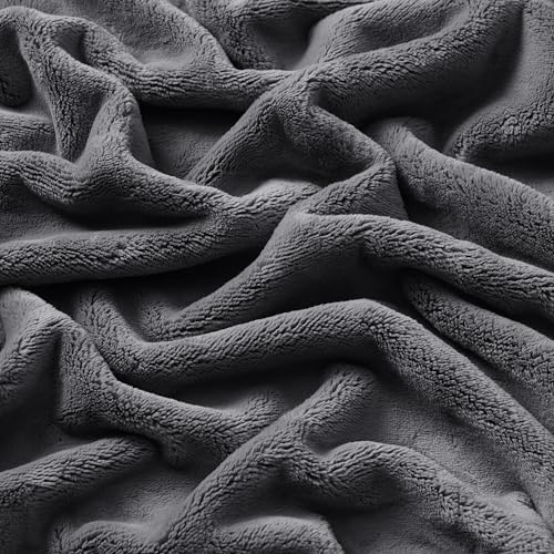 Brookstone Nap Plush Throw Blanket for Couch | Warm & Super Soft Blanket with Unmatched Heavy, Dense, and Ultra-Comfy Throw | Luxurious Drape, Cozying Up on a Sofa, Chair | Silver - color: Silver