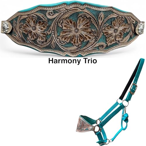 Majestic Ally Western Horse Bronc Halter, Turquoise Padded Leather Noseband, Antique Finish, Tooled Floral Design, Adjustable Nylon - style: Harmony Trio