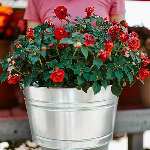 11 Gallon Galvanized Steel Round Tub - color: 11 Gallon Round Tub
