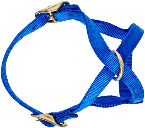 Perri's Mini Nylon Cow Halter - color: Royal Blue