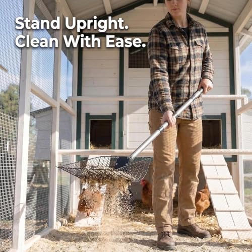 12 inch Large Chicken Poop Scooper Rake with Sifting Litter Shovel, Stainless Steel Handle (25 to 66"), Heavy-Duty Poultry Litter Scoop for Chicken Coop for Sand & Farm Pet Waste Cleaning