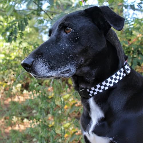 Checkered Pattern Dog Collar in Black & White - Adjustable Dog Collar for Boy and Girl Dogs with Quick Release Buckle by Limeloot, Small - color: Checkered, size: Small