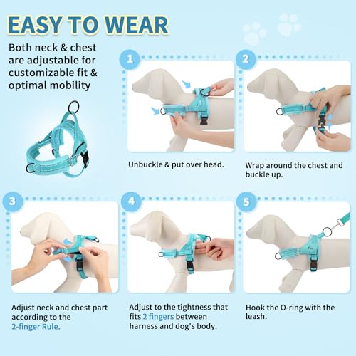 SlowTon No Pull Small Dog Harness and Leash Set with Front Clip | Soft Padded, Neck & Chest Adjustable, Lightweight, Anti-Twist, Puppy Vest Harness Pet Lead Combo for Small Medium Dog, TL S - color: Teal, size: Small