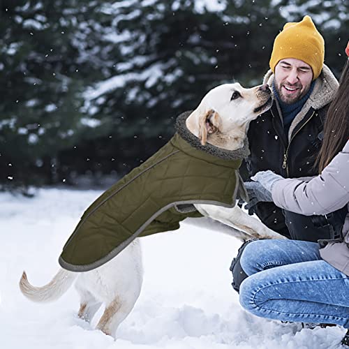 Fragralley Dog Coat Medium, Waterproof Dog Jacket with Warm Fleece Lining, Adjustable Reflective Dogs Winter Coat, Turtleneck Pet Coats for Cold Weather (ArmyGreen M) - color: ArmyGreen, size: Medium