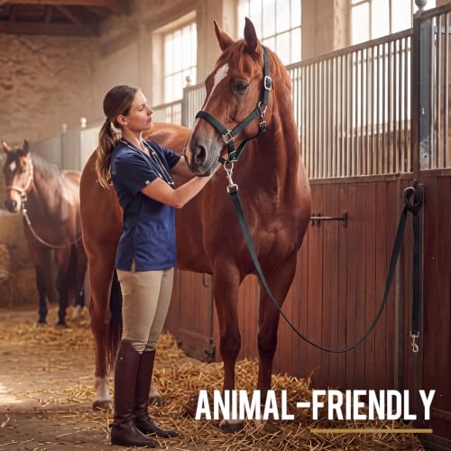 2 Pack Nylon Horse Halter with Reins Adjustable | Training, Show, Pony, Padded, Reinforced, Brass Snap, Equine Stable Supply - color: Black