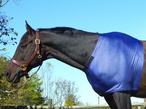 Equi-Essentials Stretch Shoulder Guard XL Royal Bl