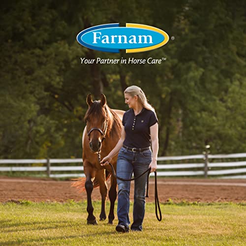 Farnam Endure Roll-On Fly Repellent for Horses Up to 7 Days Protection 2 oz | Long-Lasting Sweat-Resistant Protection for Faces, Ears, and Sensitive Areas, Repels Flies, Mosquitoes, Gnats and Ticks - size: 2 Fl Oz (Pack of 1)