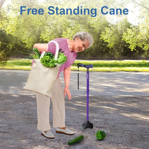 KingPavonini Walking Cane for Men Women Stability, Self Standing - color: Purple