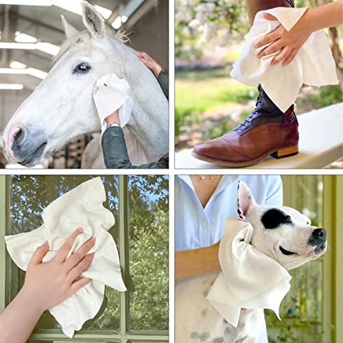 StripHair Pet & Home 3 Piece Kit, Dog Cat, Coat Grooming