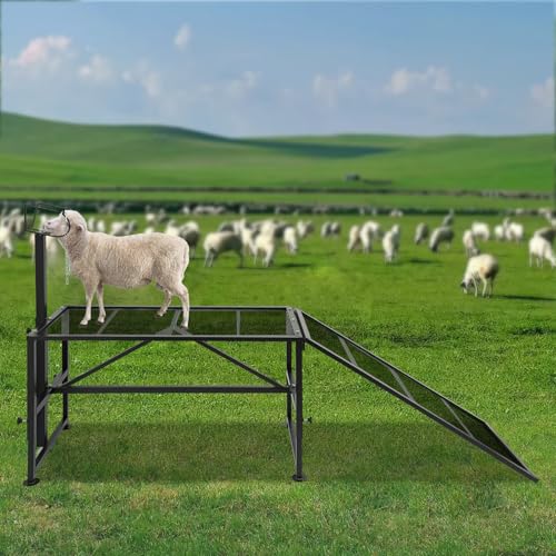 Metal Trimming Stand for Sheep Goat Milking Stand with a Ramp Livestock Stand with Adjustable Head Piece and Legs
