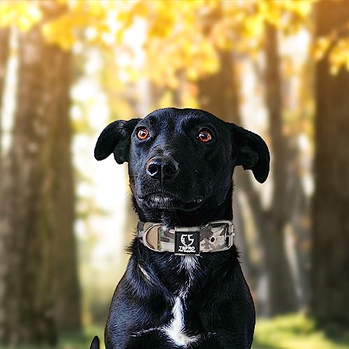 TSPRO Heavy Duty Thick Dog Collar with Metal Buckle for Small Dogs - color: Camo Military Green, size: S – Fits Neck 12.6"-15.8"