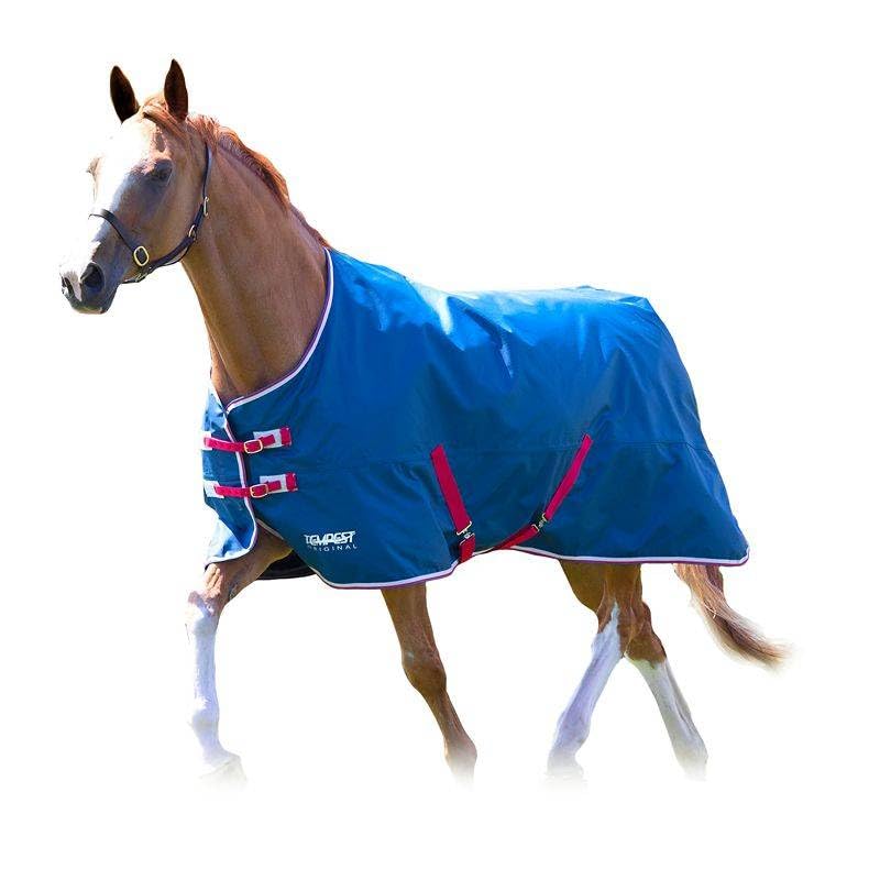Shires Tempest Original Lite Turnout Horse Blanket - 0g Fill - Multiple Sizes Teal / 57"
