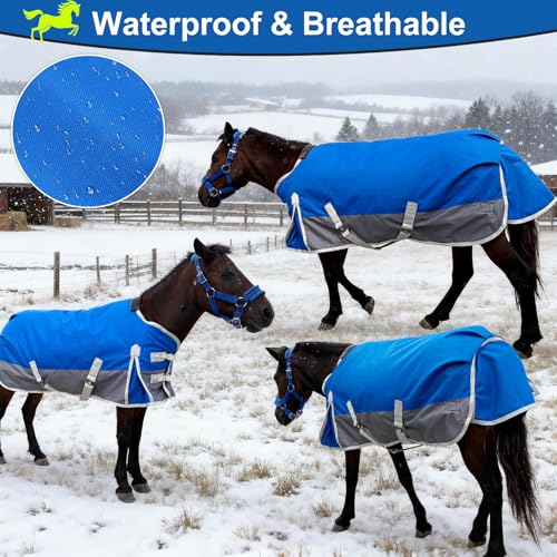 Waterproof 1200D Turnout Blanket for Pony & Mini Horse, 50 Inch - size: 50''
