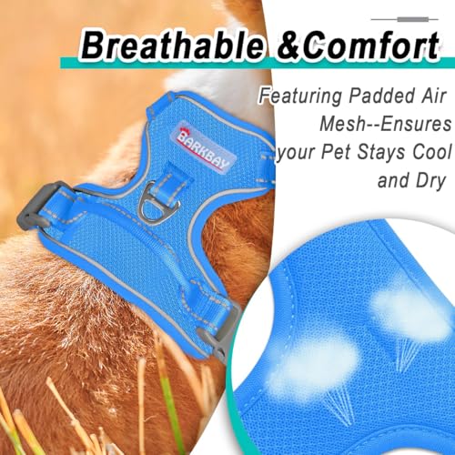 BARKBAY Dog Harness for Small Sized Dog No Pull Mesh 2 Clips Dog Vest - color: Blue-Mesh, size: X-Small