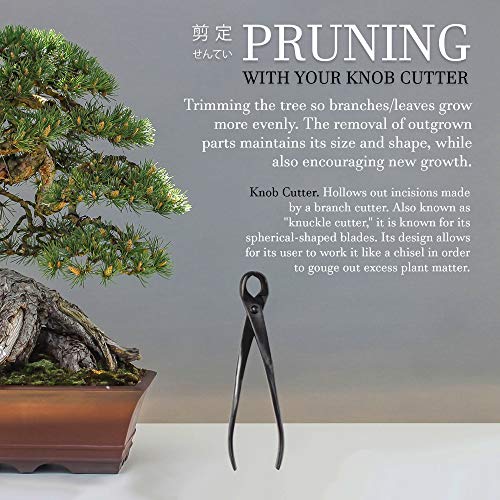 BambooMN Bonsai Basics Set - 8" Knob Cutter and 7.2" Trimming Shear - 1 Set - color: Knob Cutter & Trimming Shear Set, size: 1