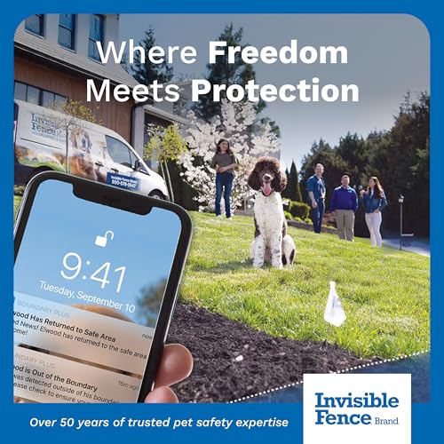 Invisible Fence Brand Power Cap Battery, 2-Pack - style: 2 Pack