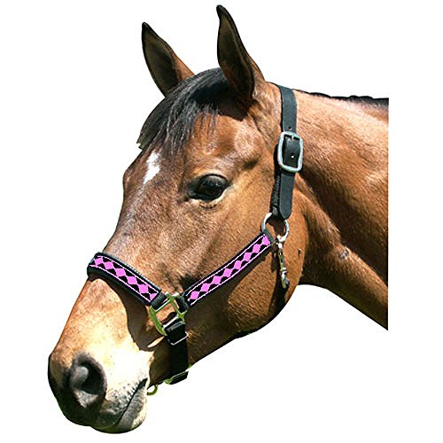 Intrepid International Leather Crown Diamond with Padded Nose Halter - color: Purple/Silver, size: Cob